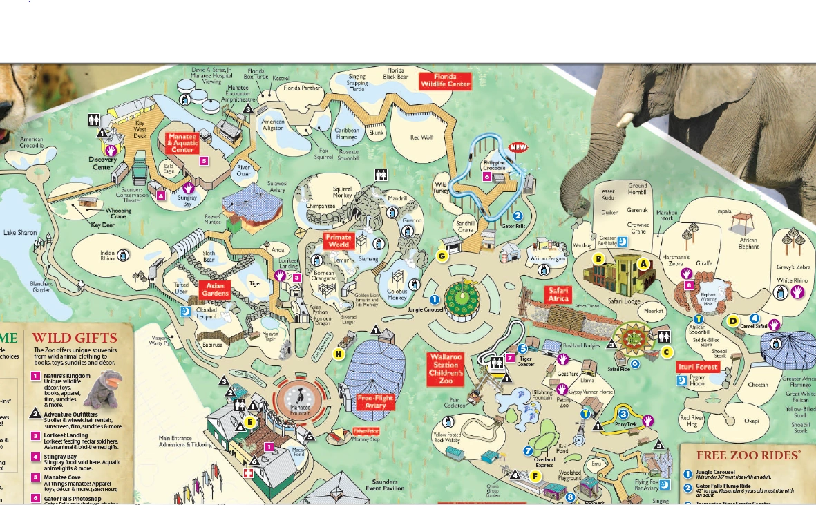 Tampa's Lowry Park Zoo List of Major Zoos in the U.S. Wiki Fandom