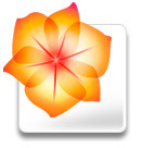 adobe golive cs2 tutorials adobe golive cs2 tutorials