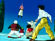 180px-MajinBuuSuperLookOutBuuVsBuu