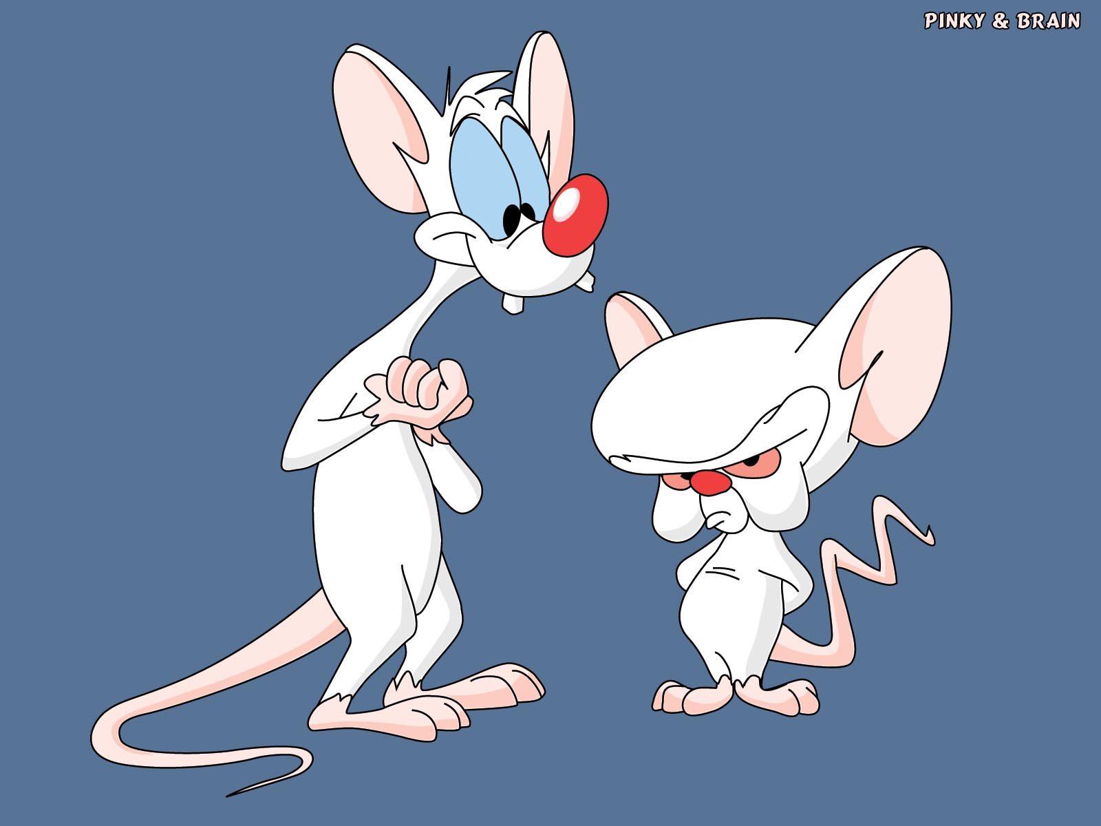 download pinky and the brain and animaniacs download pinky and the brain and animaniacs