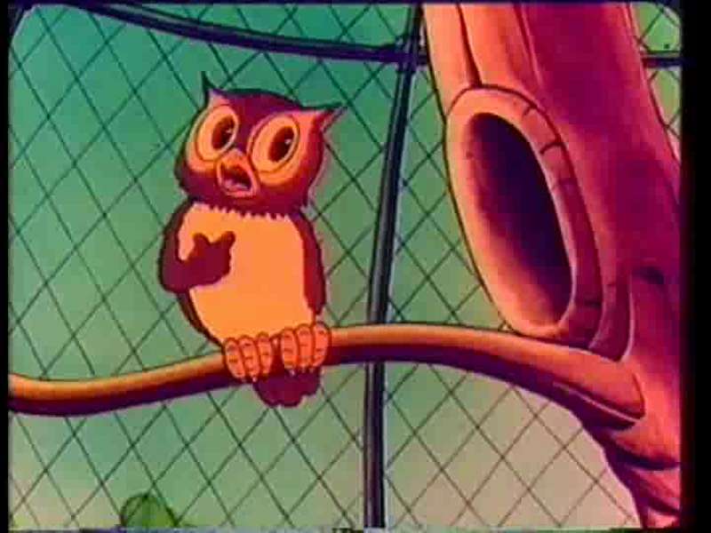 Video A Day at the Zoo Looney Tunes Wiki Fandom powered by Wikia