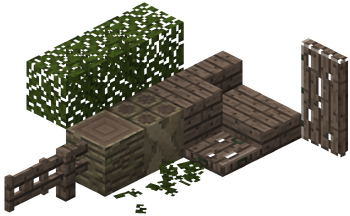 MangroveWood