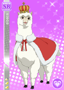 SR 629 Alpaca