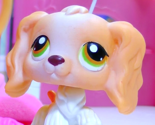 LPS POPULAR