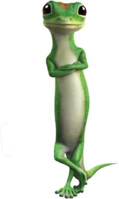The Gecko | Mad Cartoon Network Wiki | FANDOM powered by Wikia