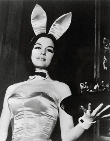 File:Bunny.jpg