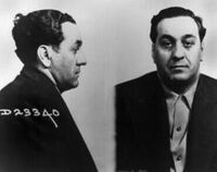 Accardo