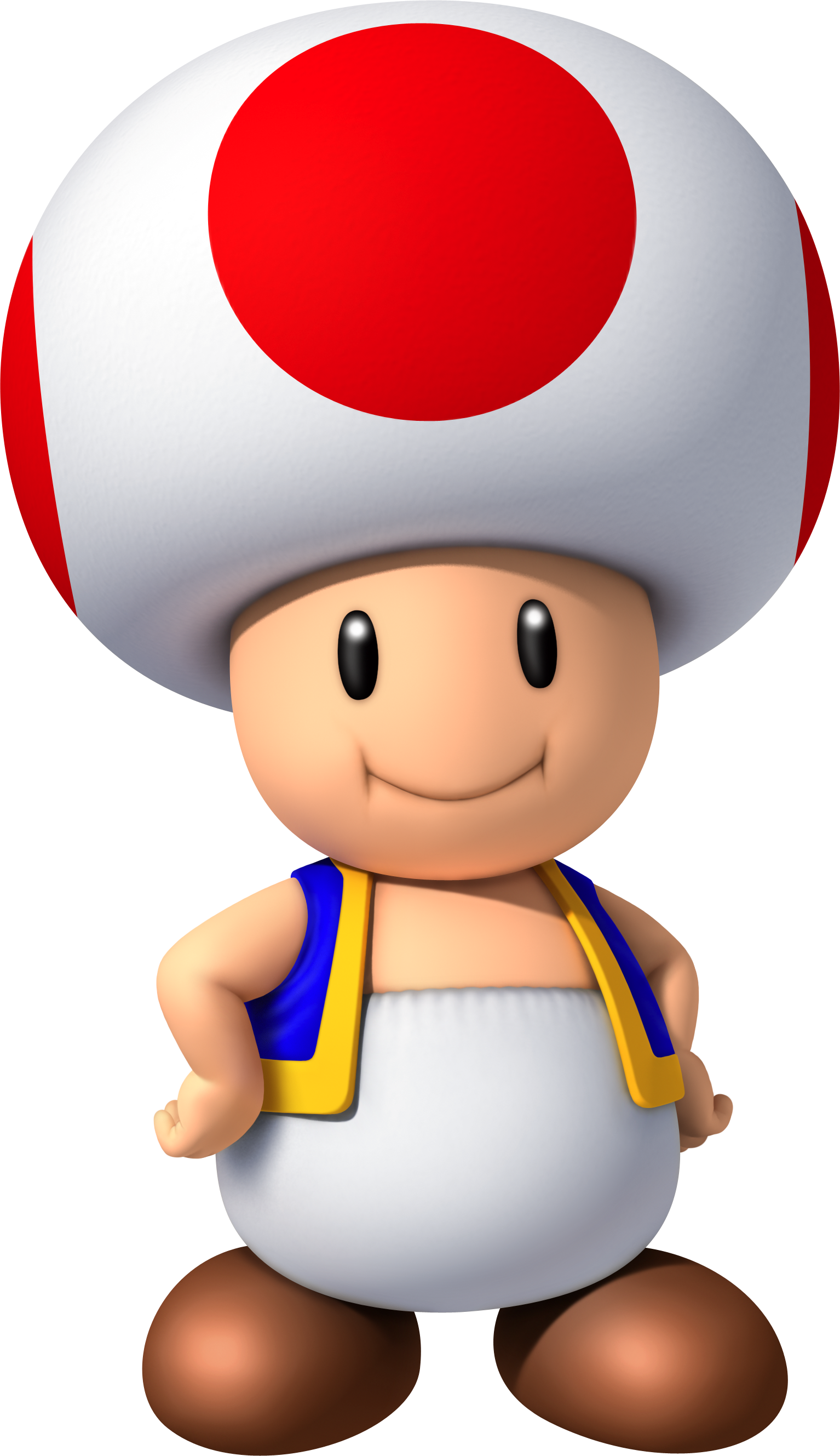 Toad Charakter Mariowiki Fandom Powered By Wikia 