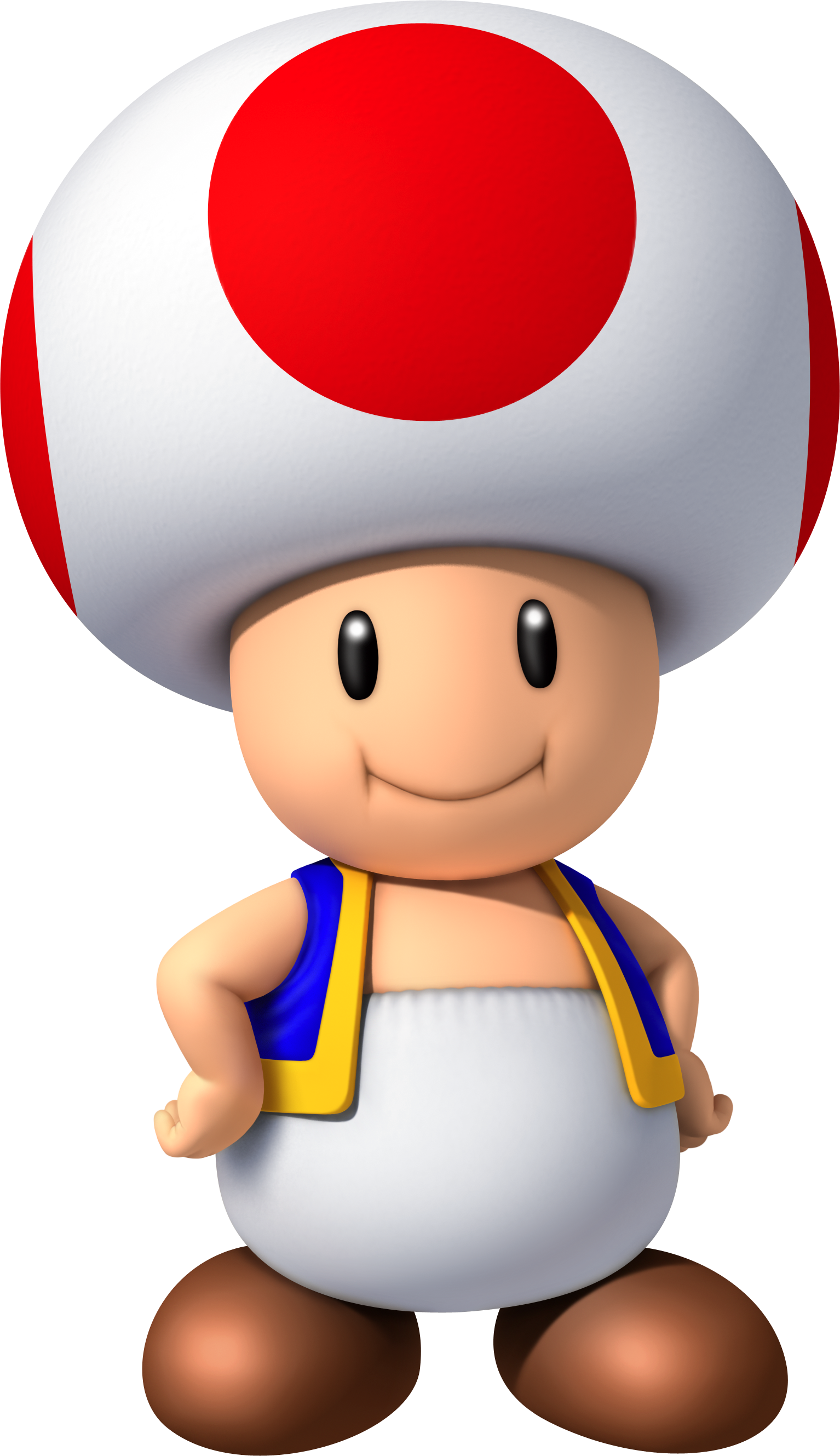 Toad | MarioWiki | FANDOM powered by Wikia