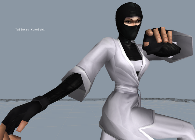 File:Taijutsu Kunoichi.png