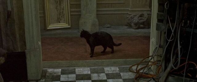 File:Matrix02.jpg