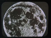 Cage-screen-3-Luna.jpg
