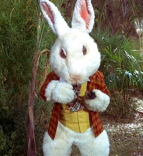 White Rabbit, 2267.jpg