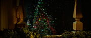 Weihnachtsbaum.jpg