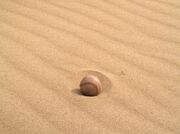 Baseball liegt im Sand.jpg