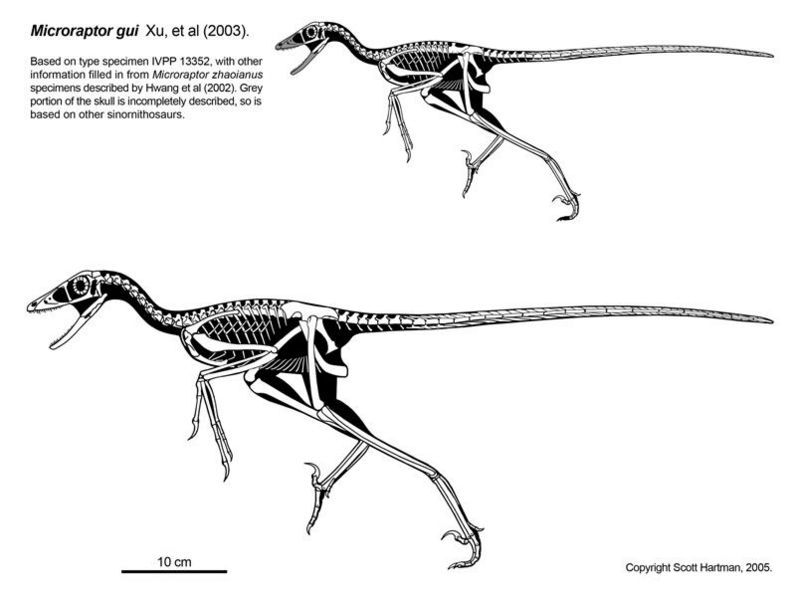 microraptor jurassic park