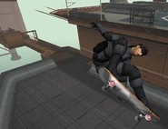 Evolutionskate 052902 17 640w