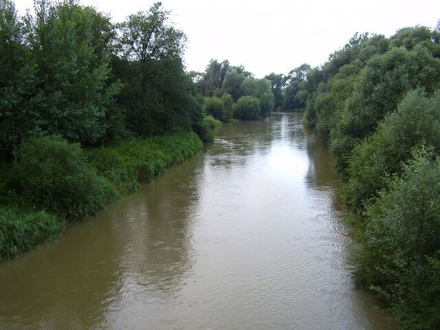 File:Rabah.jpg