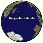 Kiglobe