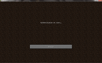 Image serveur.png