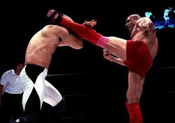 Bas Rutten high kick
