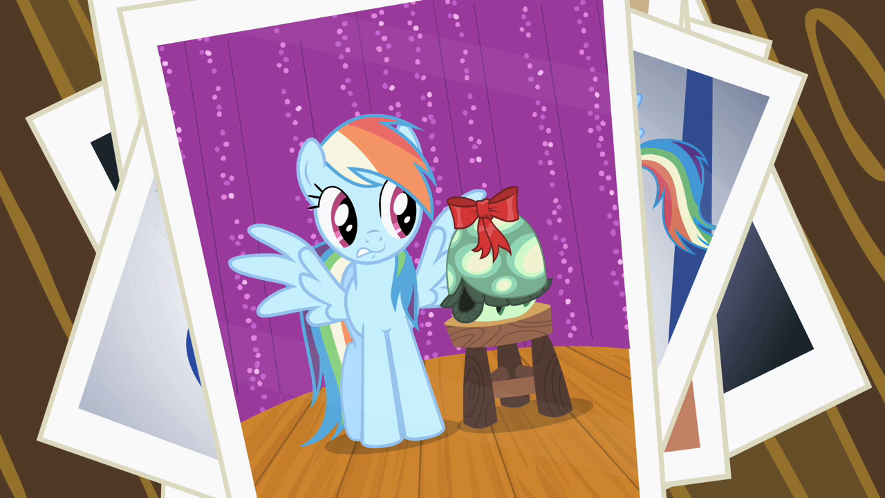 Tank%27s_failed_photo_with_Rainbow_Dash_S2E7.png