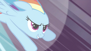 Rainbow Dash &#039;&#039;O melhor casamento&#039;&#039; T2E26.png