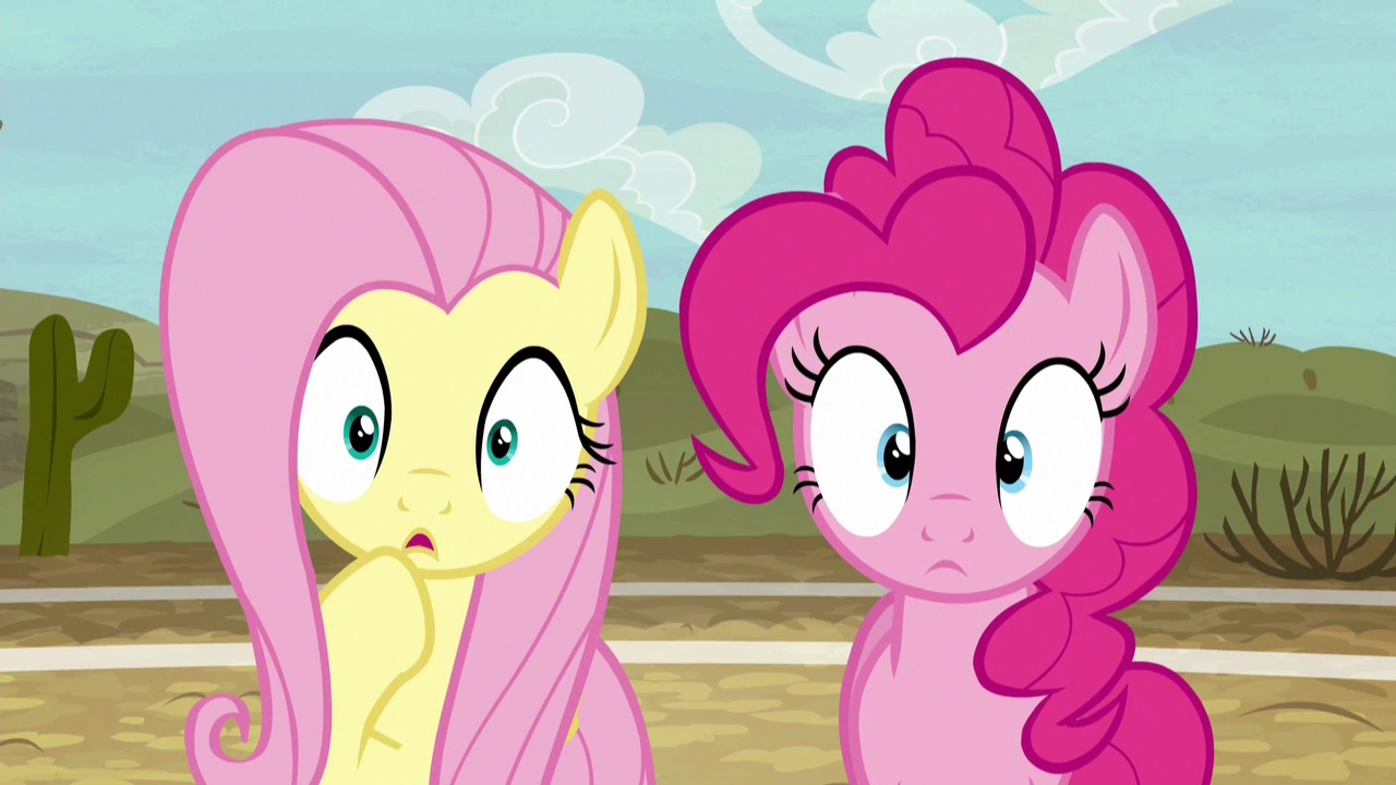 Image Fluttershy and Pinkie Pie in dull surprise S6E18.png My Little Pony Friendship is