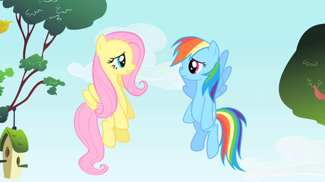 File:Rainbow Dash and Fluttershy are speechless S1E25.png