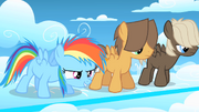 Jovem Rainbow Dash pronta para correr T1E23.png