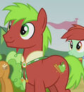 Apple Cinnamon ID