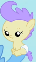 Cream Puff