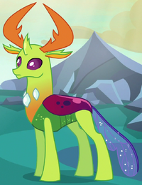 Thorax new form ID S6E26