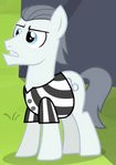 Silver Shill ID