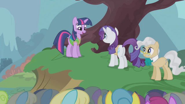 File:Twilight's special vest S1E11.png