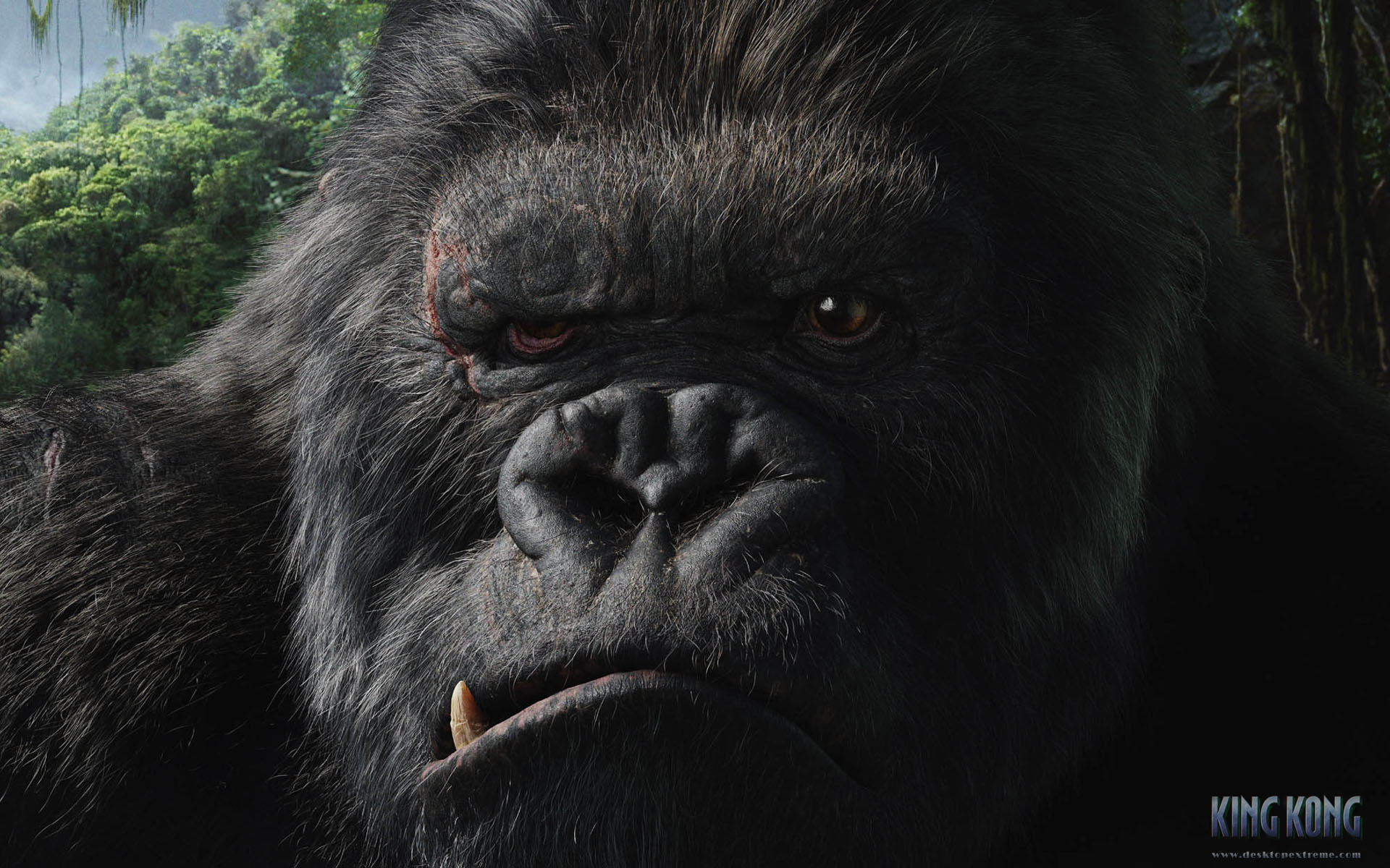 King Kong Monsterspedia Wiki Fandom powered by Wikia