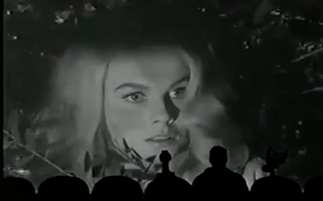 File:Kittenwhipmovie.png