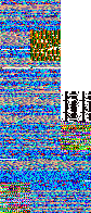 None MissingNo