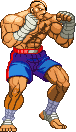 Sagat-ChuchoryuCHATMAT-Pal12
