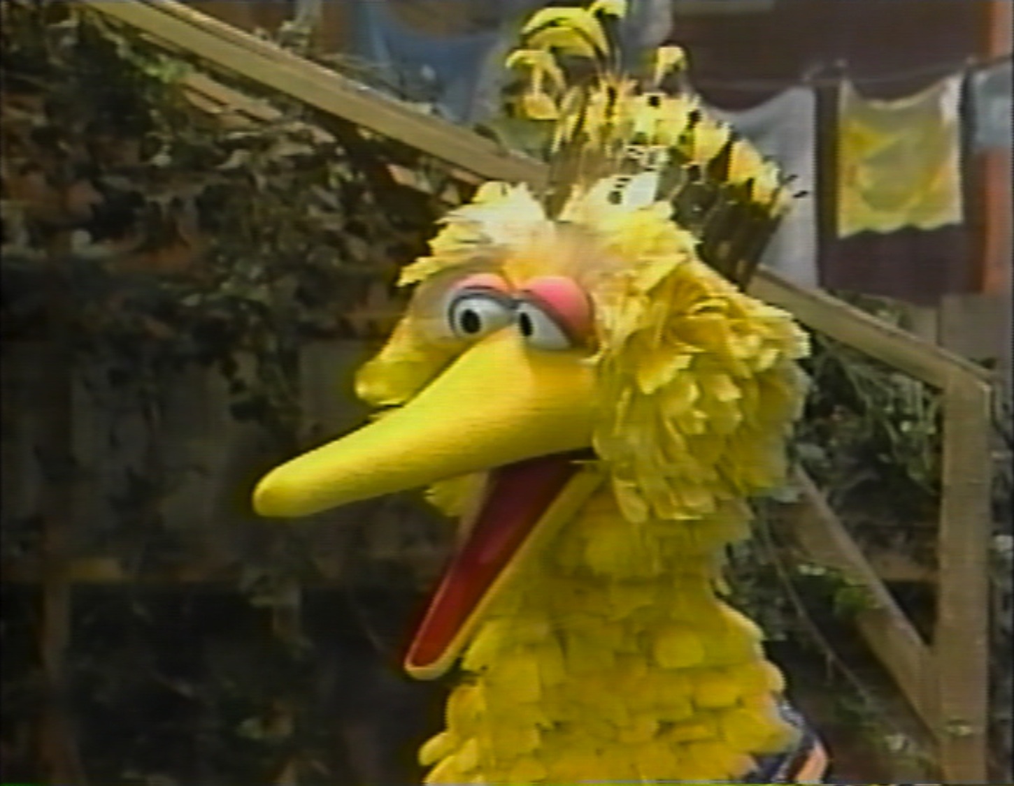 Big Bird's Alternate Identities | Muppet Wiki | Fandom powered by Wikia