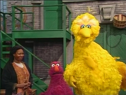 Big Bird Sketches: Sesame Street 