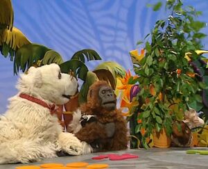 AnimalShow111-02