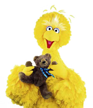 teddy bear from sesame street