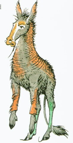 File:Rabadashass.jpg
