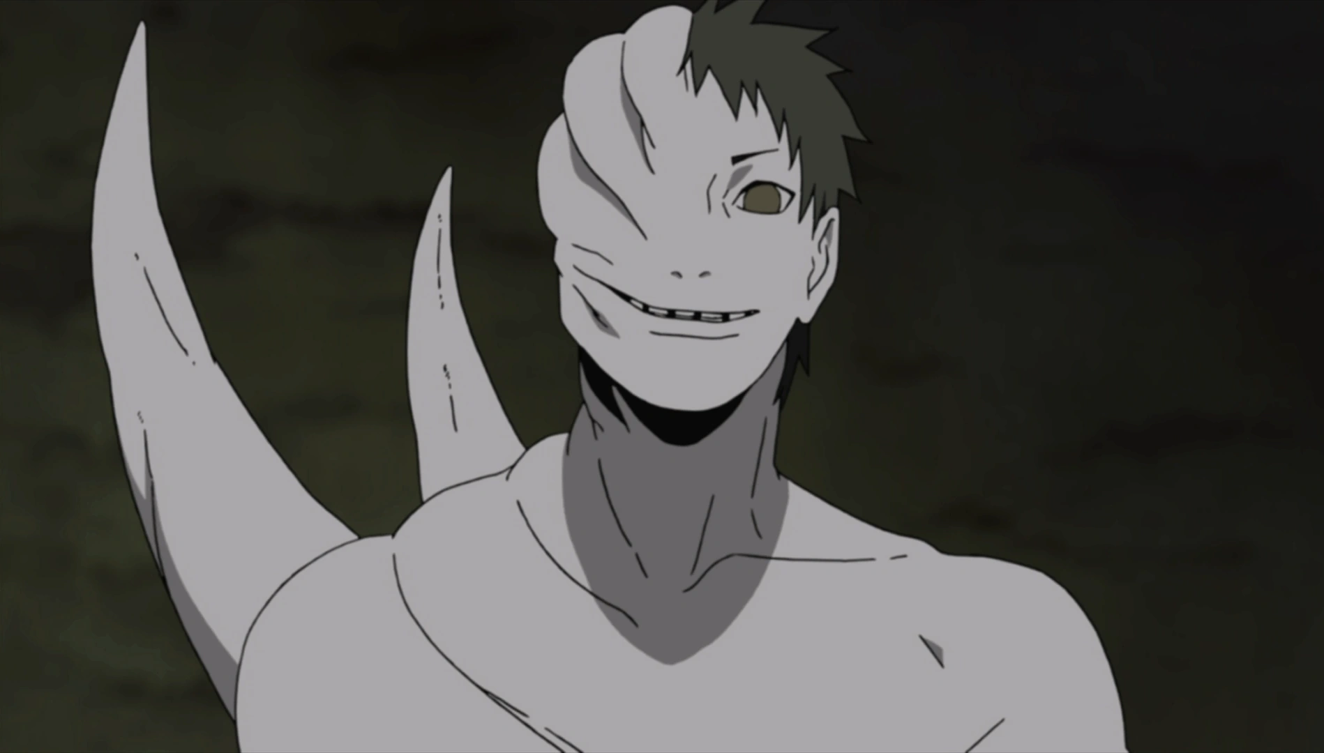 Zetsu Branco Wiki Naruto Fandom powered by Wikia