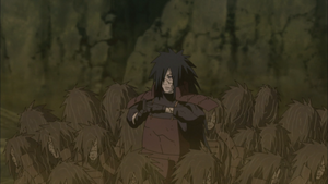 Jutsus: Senju Hashirama 300?cb=20131003193002&path-prefix=pt-br