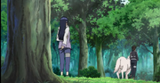 Kiba, Akamaru e Hinata na árvore de marcações de recordes.png