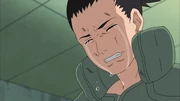 Shikamaru Chorando.png