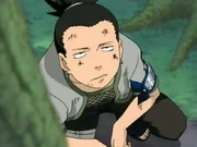 Shikamaru olhando para as nuvens.PNG