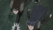 Neji e Hinata seguem.png